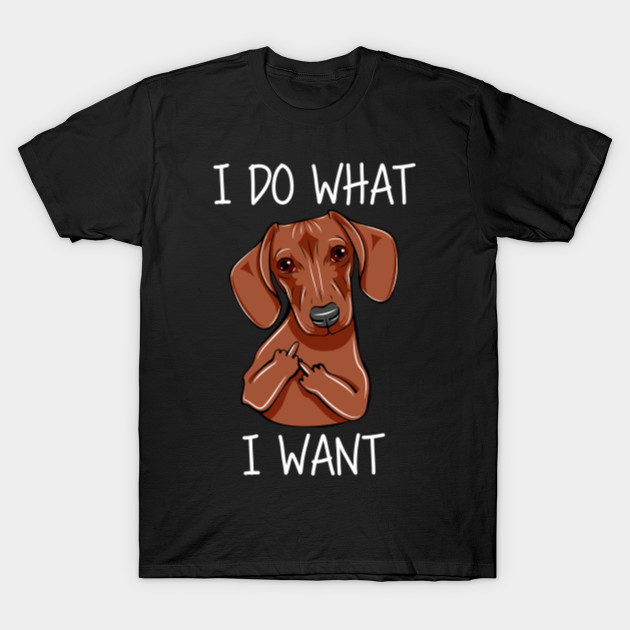 DACHSHUND I DO WHAT I WANT